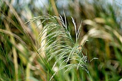 《街头霸王6》开始BETA封测 玩家捏出大量畸形人物